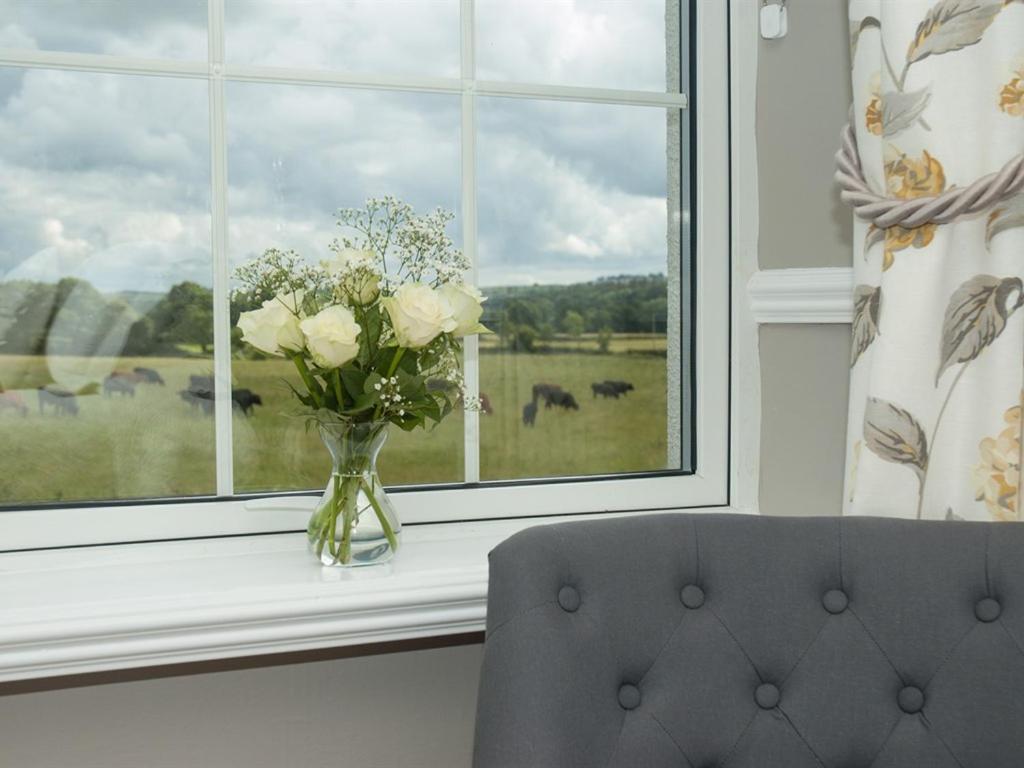 Poole Farm Bed & Breakfast Launceston Cameră foto